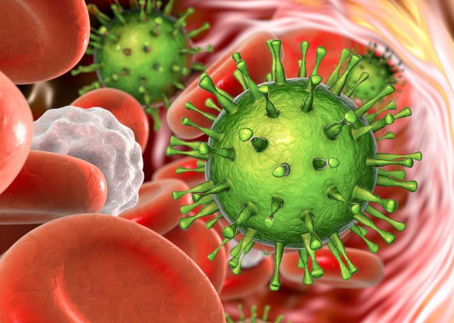 Citomegalovirus: ecco come il sistema immunitario può sconfiggere l’infezione